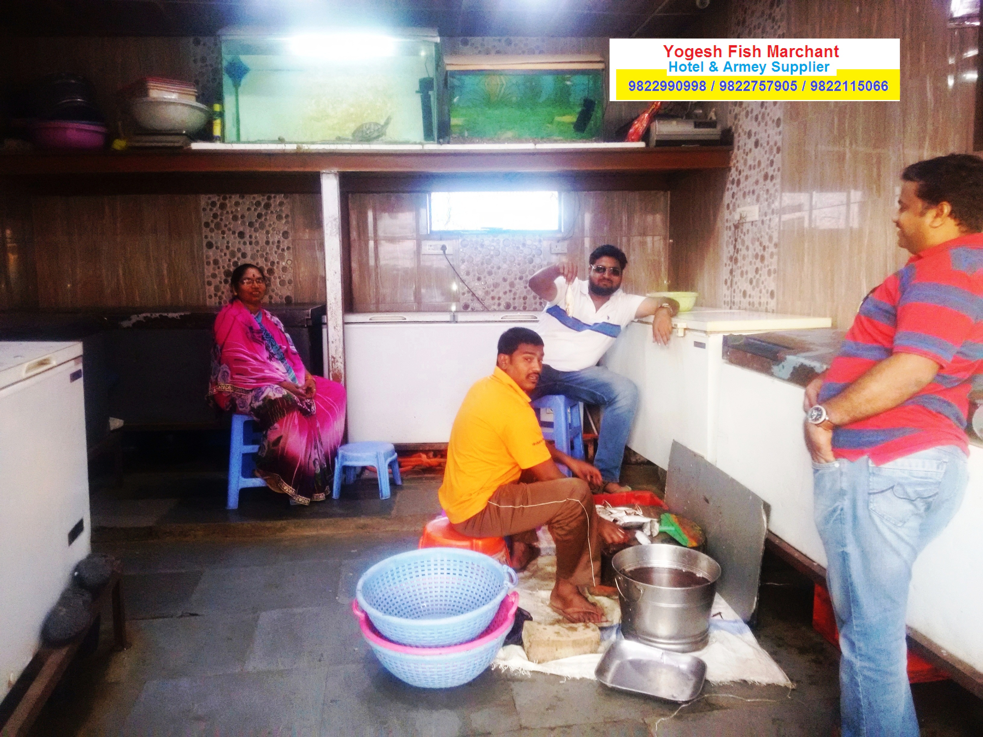 yogesh fish marchant